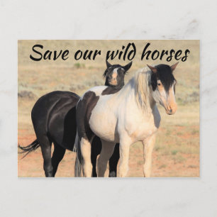 Spara Vår Vild Horses Vykort