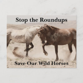 Spara Vår Vild Horses Vykort