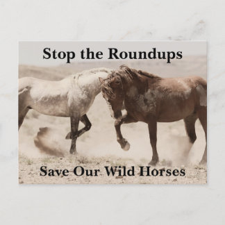 Spara Vår Vild Horses Vykort