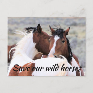 Spara vår Vild Horses Vykort