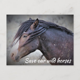 Spara vår Vild Horses Vykort