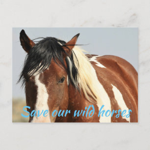 Spara Vår Vild Horses Vykort