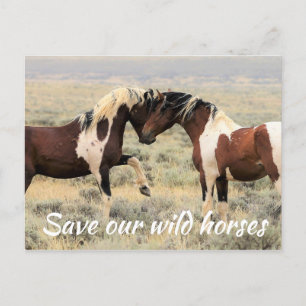 Spara Vår Vild Horses Vykort