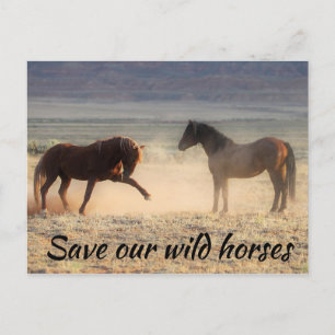 Spara Vår Vild Horses Vykort