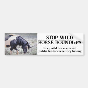 Spara Vår Vild Horses Washakie Bildekal