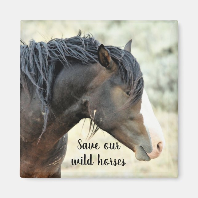 Spara vår Vild Mustangs of the Väster Magnet (Framsidan)