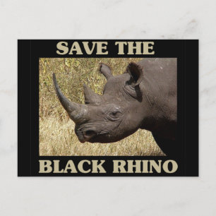 Spara vid Black Rhino Vykort