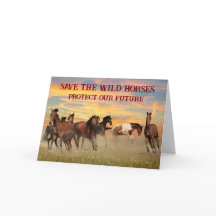 Spara Vild Hästar