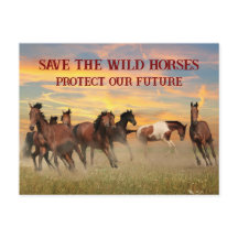 Spara Vild Hästar