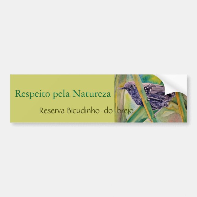 Spara Vild Natur - Marsh Antwren Bumper Sticker Bildekal (Framsidan)