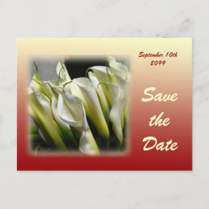 Spara vykortet Datum - White Calla Lilies Meddelande Vykort