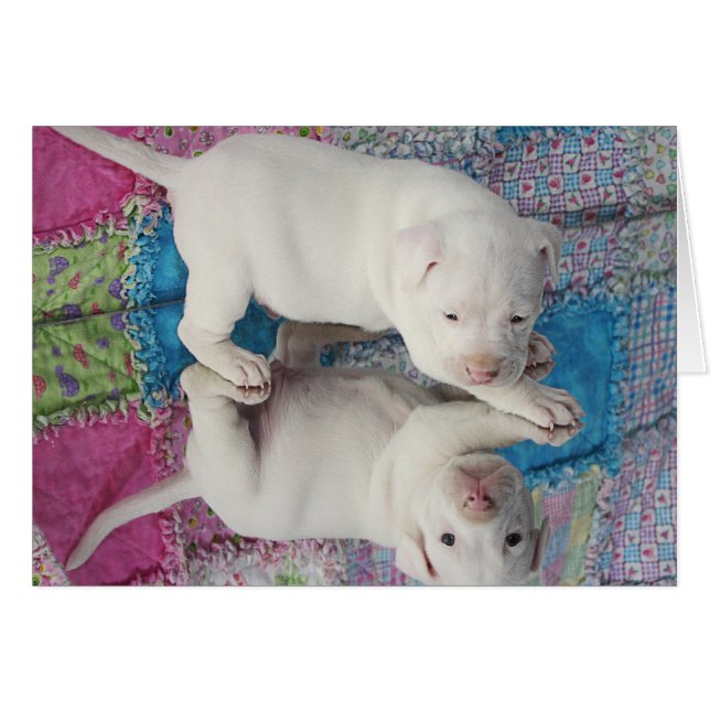 Sparad 4 vecka gammal valp hälsningskort (Framsidan Horizontal)