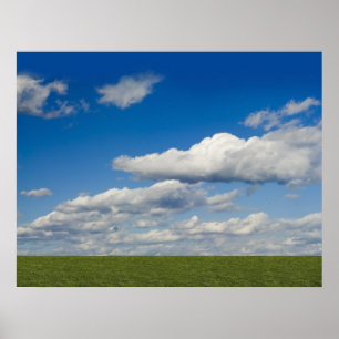 sparad grönt, blå himmel, vitmoln poster