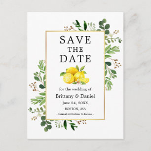 Sparar datum för grekiska lejonsparande av vattenf vykort