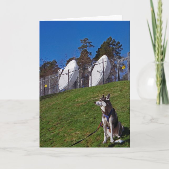 Spårare hund kort (Framsida)