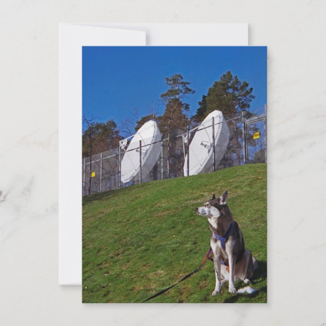 Spårare hund kort (Framsida)