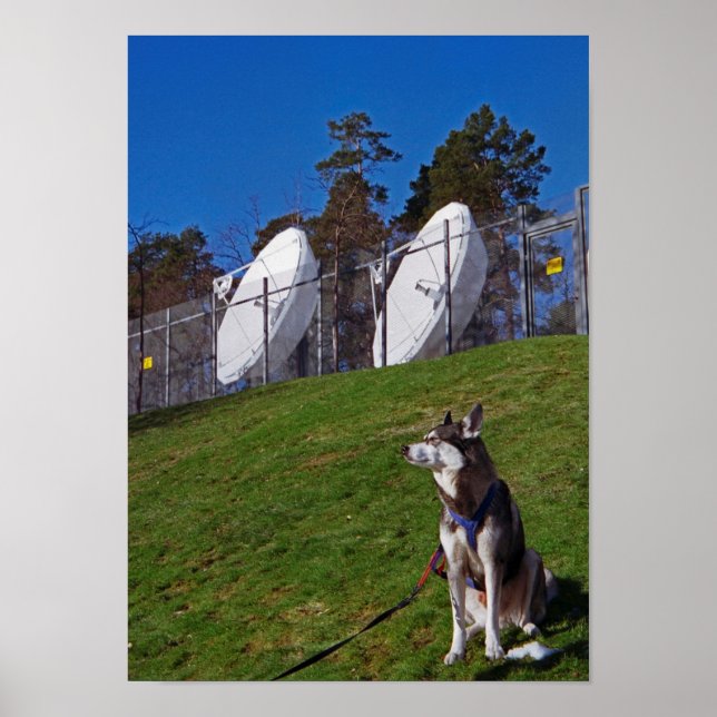 Spårare hund poster (Framsidan)