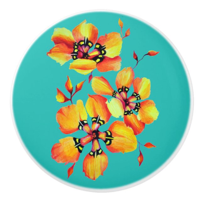 Sparaxis Harlequin Grandiflora Cape Watercolor Knopp (Framsidan)