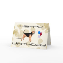 Spårhund på solbrända löv