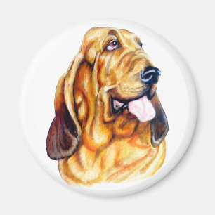Spårhundbyst Magnet