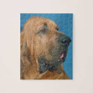 Spårhundhundpussel Pussel
