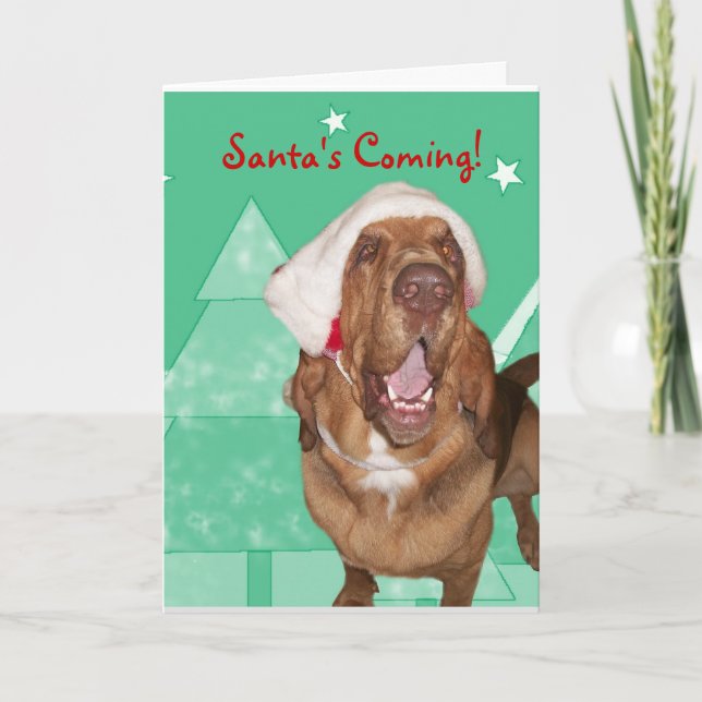 Spårhundjulkort Helgkort (Framsida)
