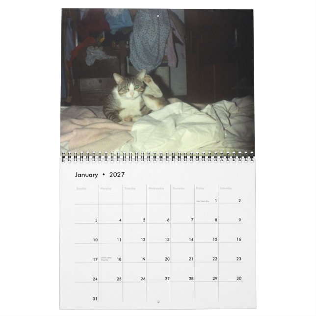 SPARKCYKEL 2007 KALENDER (Jan 2027)