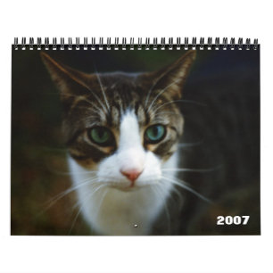SPARKCYKEL 2007 KALENDER