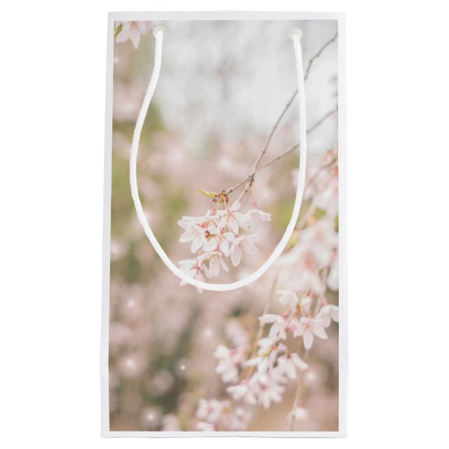 Sparkler för Bright Weeping Cherry Sparkles (Framsidan)