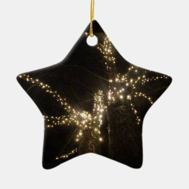 Sparkling Outdoor Tree Lights Star Ornament (Framsidan)