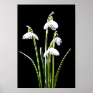 Sparkling Snowdrops tryck