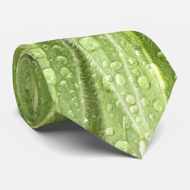 Sparkling tappar tien slips (Rullad)