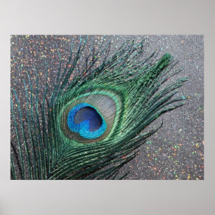 Sparkly Black Peacock Feather Life Poster