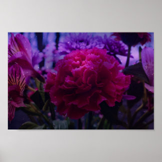 Sparkly Carnation Poster
