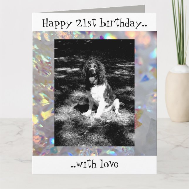 Sparkly Spaniel 21:a födelsedagskort Kort (Framsida)