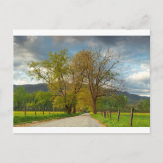 Sparks Lane Cades Cove Vykort