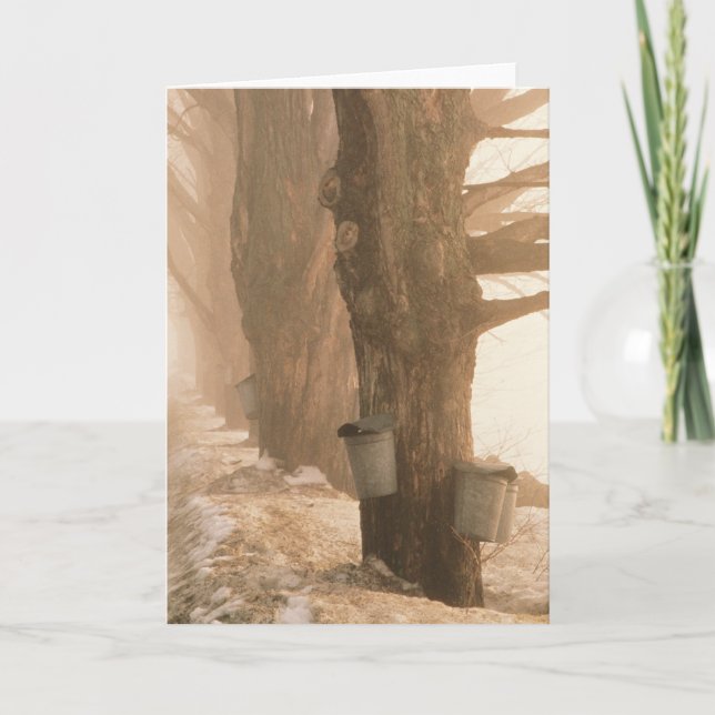 SPARKTKORT KORT (Framsida)