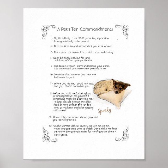 SPARKY a - Poster (Framsidan)