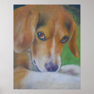 Sparky Hund: Ögon Poster