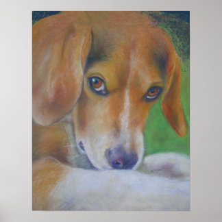 Sparky Hund: Ögon Poster