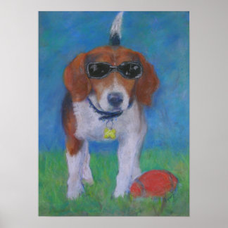 Sparky-Hund: Tittar Coola poster