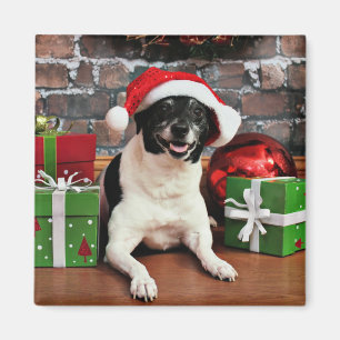 Sparky jul - råttaTerrier - Magnet