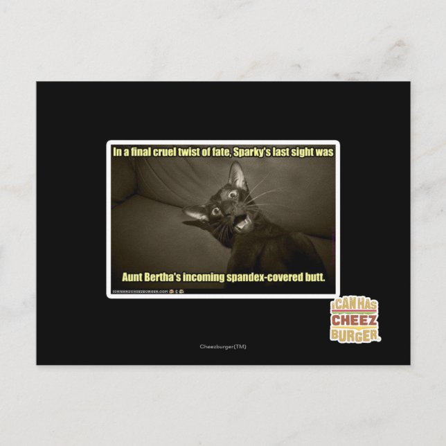 Sparkys sist sikt vykort (Framsida)