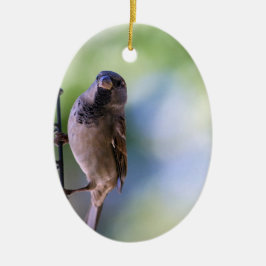 Sparrastläge för mig julgransprydnad keramik