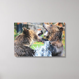 Sparring Grizzly Bears Canvastryck