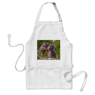 Sparring Partners Apron Förkläde