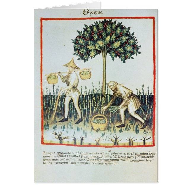 Sparrisplockare, 1200-talet hälsningskort (Framsidan)
