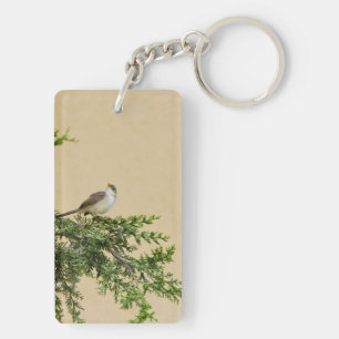 Sparrow