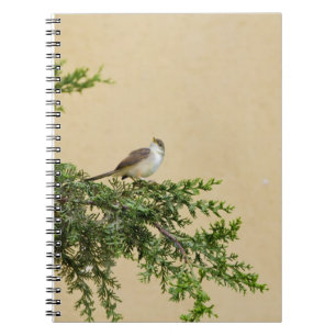 Sparrow Anteckningsbok Med Spiral