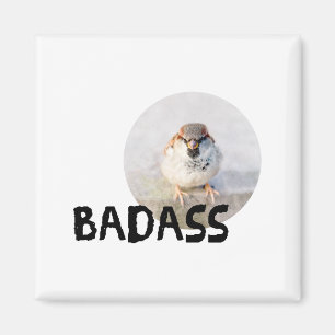 Sparrow - Badass Magnet